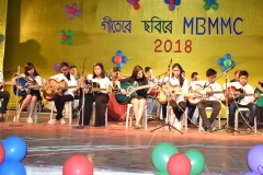 Guitar Performance in Annual Program, 2018